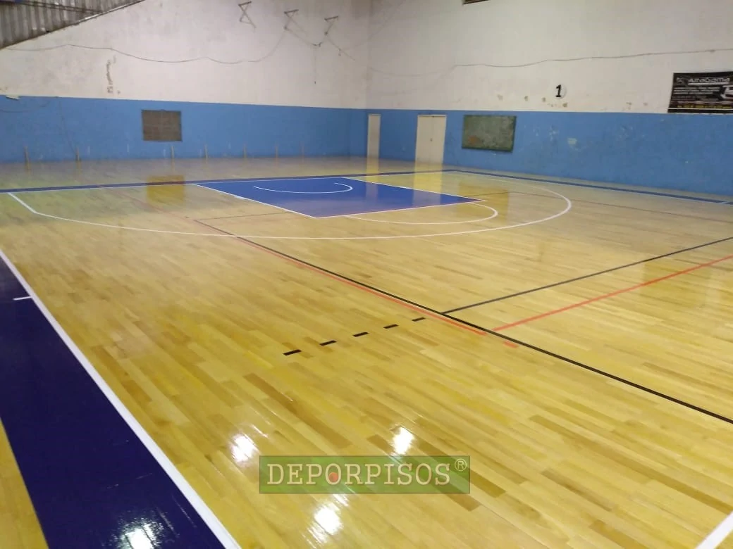 Gimnasio de la Universidad Nacional de La Plata, Buenos Aires