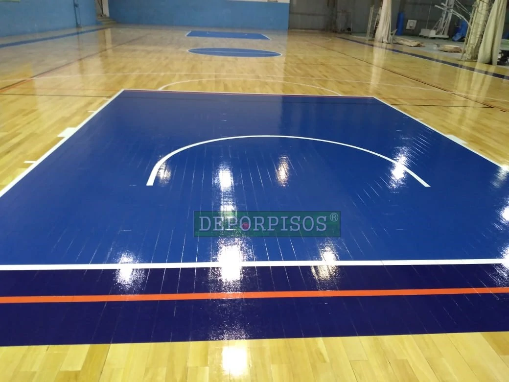 Gimnasio de la Universidad Nacional de La Plata, Buenos Aires