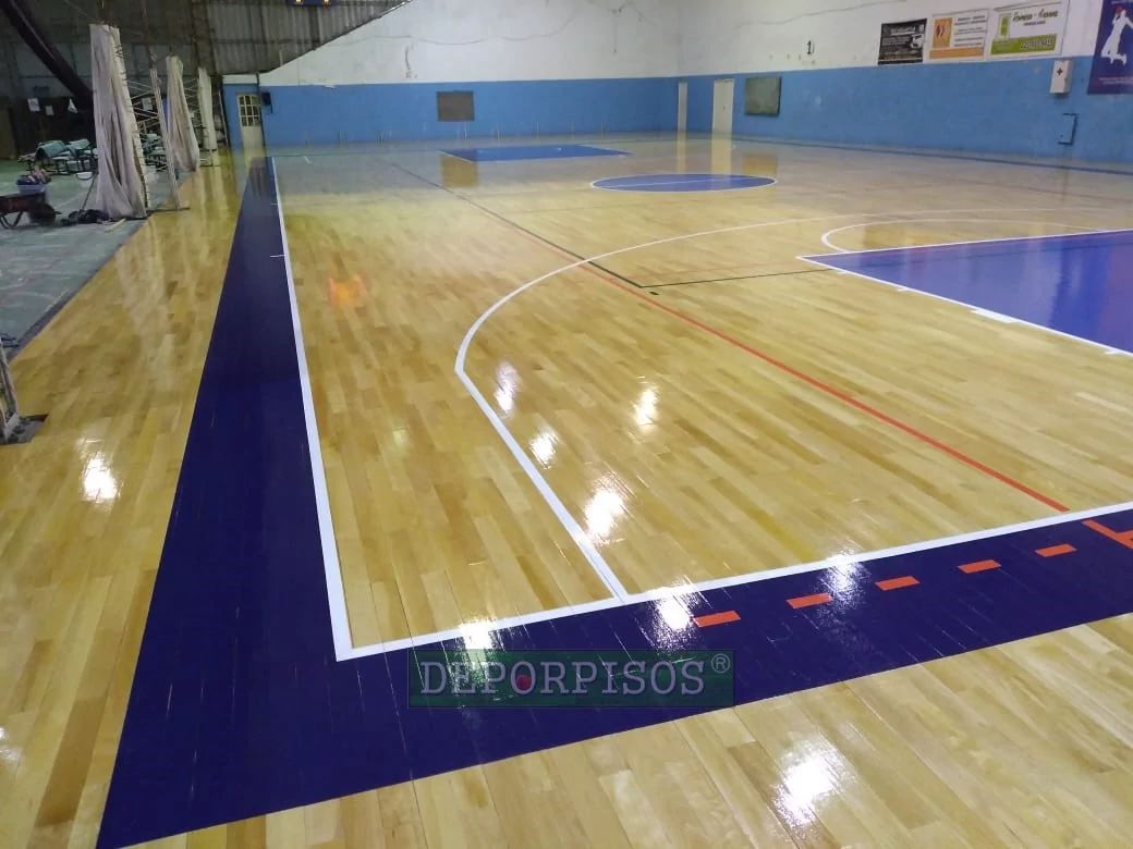 Gimnasio de la Universidad Nacional de La Plata, Buenos Aires